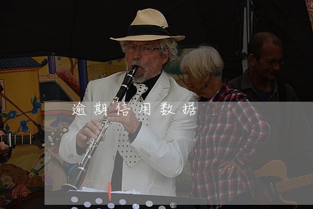 逾期信用数据 逾期信用数据