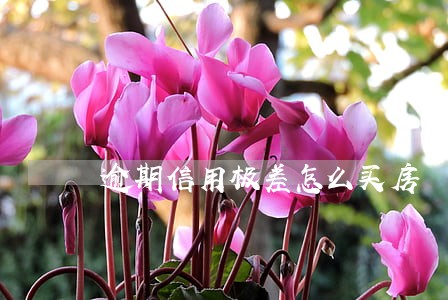 逾期信用极差怎么买房 逾期信用极差怎么买房