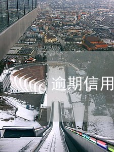 逾期信用欠款 逾期信用欠款