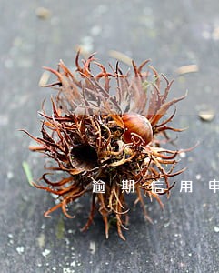 逾期信用申报的公司 逾期信用申报的公司