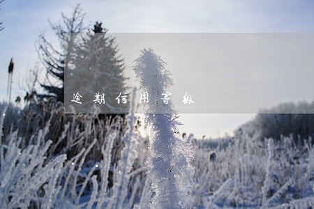 逾期信用等级 逾期信用等级