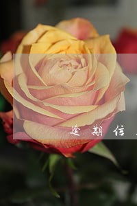 逾期信用记录可以坐高铁吗