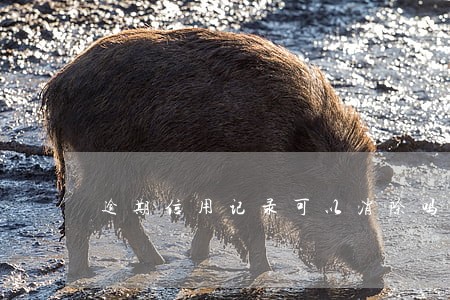 逾期信用记录可以消除吗 逾期信用记录可以消除吗