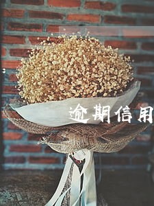 逾期信用贷款例题 逾期信用贷款例题