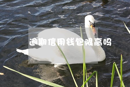 逾期信用钱包限高吗 逾期信用钱包限高吗