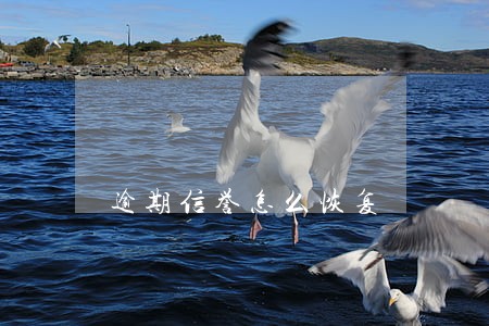 逾期信誉怎么恢复 逾期信誉怎么恢复