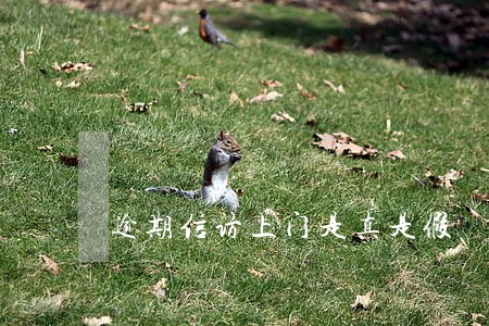 逾期信访上门是真是假