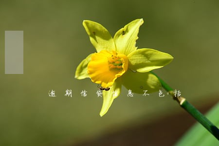 逾期信贷信息不包括 逾期信贷信息不包括