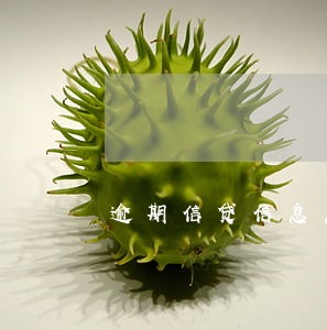 逾期信贷信息怎样消除 逾期信贷信息怎样消除