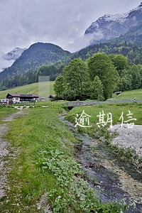 逾期信贷信息指什么 逾期信贷信息指什么