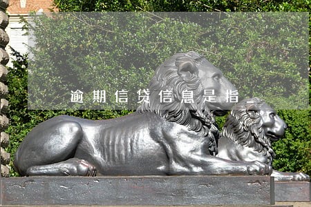 逾期信贷信息是指_ 逾期信贷信息是指_