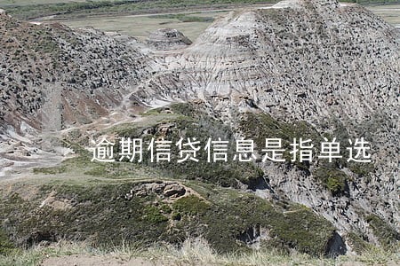 逾期信贷信息是指单选 逾期信贷信息是指单选