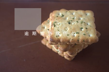逾期信贷指什么 逾期信贷指什么