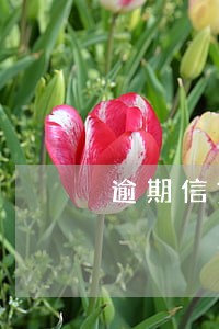 逾期信贷指的是 逾期信贷指的是