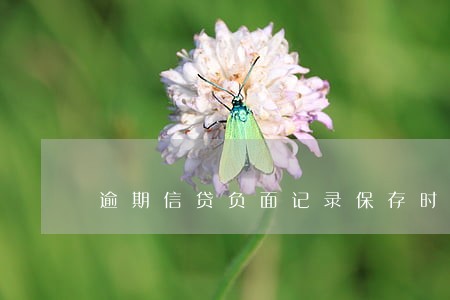 逾期信贷负面记录保存时间