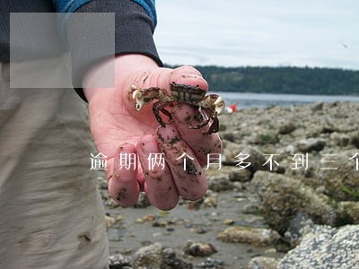 逾期俩个月多不到三个月 逾期俩个月多不到三个月