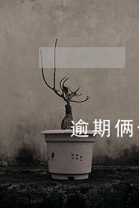 逾期俩个月还能提额度