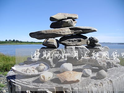 逾期俩个月还能网贷吗 逾期俩个月还能网贷吗
