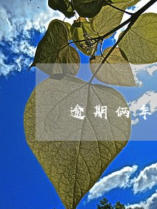 逾期俩年有钱不还属于什么行为 逾期俩年有钱不还属于什么行为