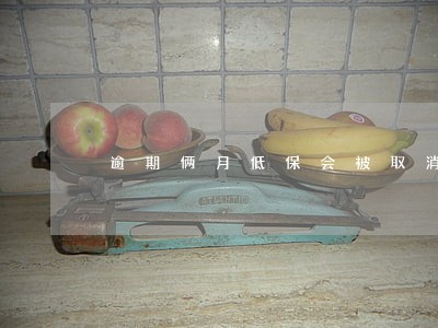 逾期俩月低保会被取消吗 逾期俩月低保会被取消吗