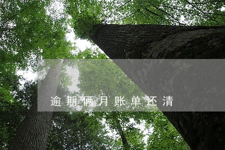 逾期俩月账单还清 逾期俩月账单还清