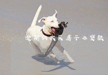 逾期俩次买房子办贷款 逾期俩次买房子办贷款