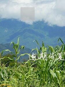 逾期修复一次提多少信用分 逾期修复一次提多少信用分