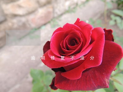 逾期修复不涨分 逾期修复不涨分