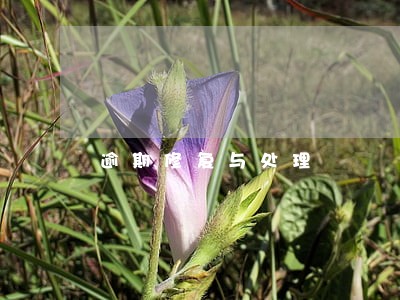 逾期修复与处理 逾期修复与处理