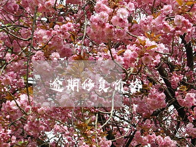 逾期修复价格 逾期修复价格