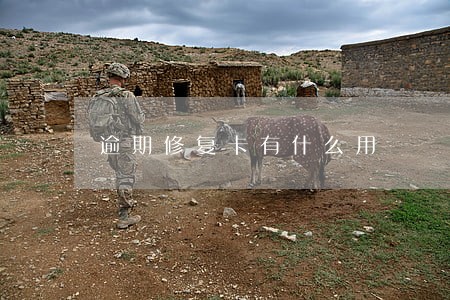 逾期修复卡有什么用
