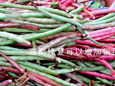逾期修复可以增加信用分么 逾期修复可以增加信用分么