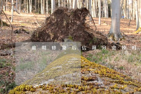 逾期修复后信用分会掉吗 逾期修复后信用分会掉吗