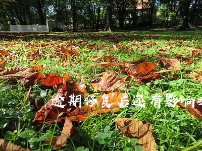 逾期修复后还有影响吗 逾期修复后还有影响吗