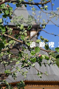 逾期修复好友助力要不要帮 逾期修复好友助力要不要帮