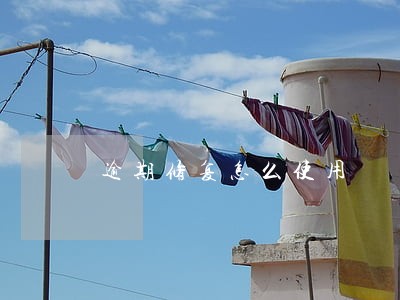 逾期修复怎么使用