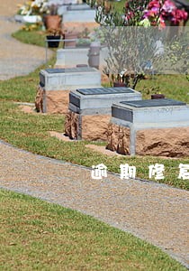 逾期修复成功了芝麻分能上升吗 逾期修复成功了芝麻分能上升吗