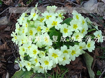 逾期修复成功会涨分吗 逾期修复成功会涨分吗