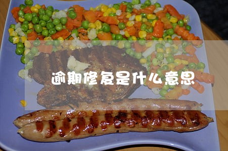 逾期修复是什么意思 逾期修复是什么意思