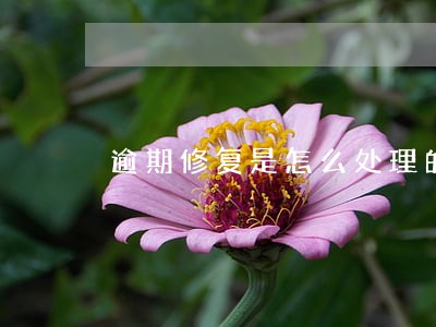 逾期修复是怎么处理的 逾期修复是怎么处理的