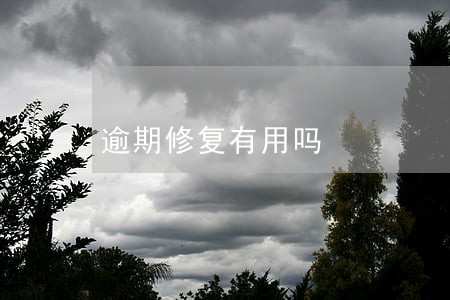 逾期修复有用吗 逾期修复有用吗