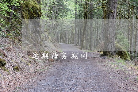 逾期修复期间 逾期修复期间
