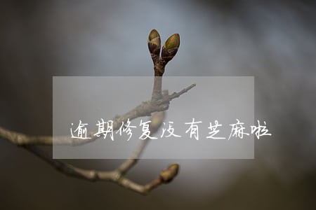 逾期修复没有芝麻啦 逾期修复没有芝麻啦