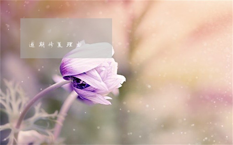 逾期修复理由