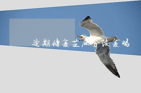 逾期修复芝麻分恢复吗 逾期修复芝麻分恢复吗