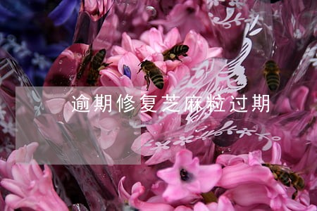 逾期修复芝麻粒过期 逾期修复芝麻粒过期