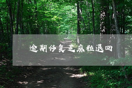 逾期修复芝麻粒退回 逾期修复芝麻粒退回