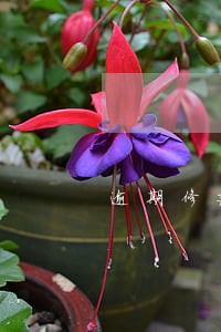 逾期修建房屋的情况说明 逾期修建房屋的情况说明