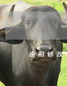 逾期修改情况说明
