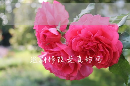 逾期修改是真的吗 逾期修改是真的吗